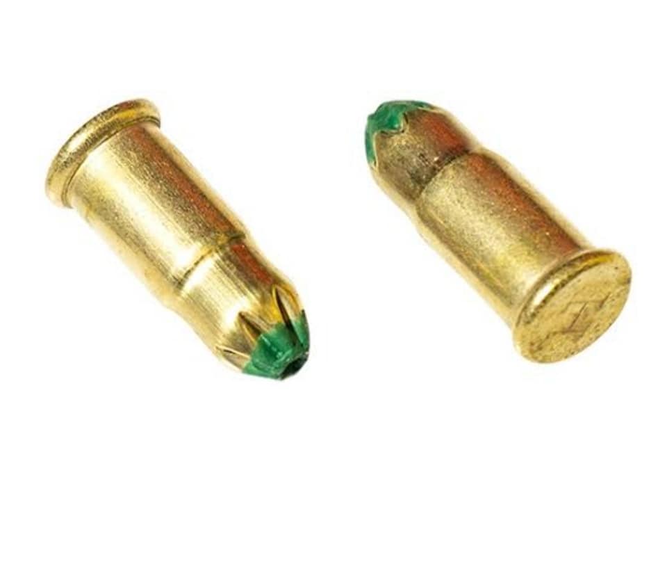 FULMINANTE CAL.22 (100 UND)